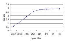 Anti-AFP Antibody Pair