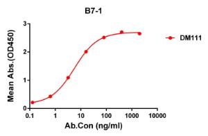 Anti-CD80 antibody