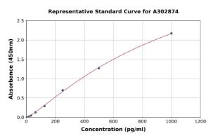 Representative standard curve for Human Separase ELISA kit (A302874)