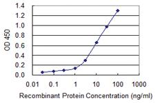 Anti-TNFSF13B Mouse Monoclonal Antibody [clone: 1C11]