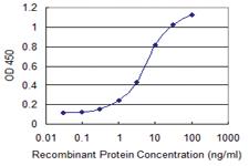 Anti-MRPS36 Mouse Monoclonal Antibody [clone: 3E11]