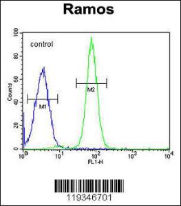 Anti-GUCY2D Rabbit Polyclonal Antibody (Biotin)