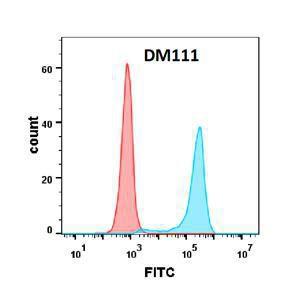 Anti-CD80 antibody