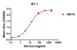 Antibody A318597-500