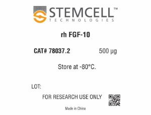 Human recombinant FGF-10 (KGF-2)