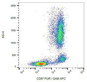 Surface staining of human peripheral blood with Anti-CD87 Antibody (A86867)