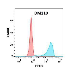 Antibody A318597-500