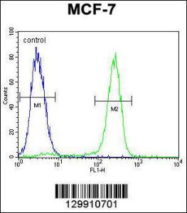 Anti-OTOP3 Rabbit Polyclonal Antibody (PE (Phycoerythrin))