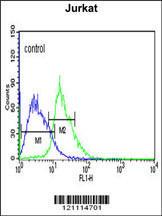 Anti-EHMT2 Rabbit Polyclonal Antibody