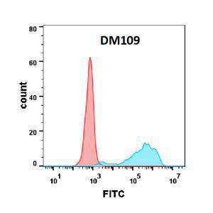 Flow cytometry analysis with Anti-CD80 Antibody [DM109] - Azide free (A318598) on Expi293 cells transfected with human B7-1 (blue histogram) or Expi293 transfected with irrelevant protein (red histogram)