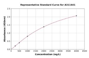 Representative standard curve for Mouse Wnt8b ELISA kit (A311441)