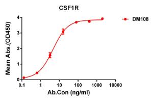 Anti-CSF-1-R Rabbit Recombinant Antibody [clone: DM108]