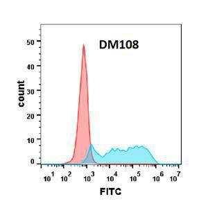 Anti-CSF-1-R Rabbit Recombinant Antibody [clone: DM108]