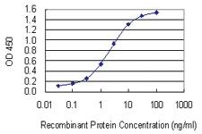 Anti-FBXO2 Mouse Monoclonal Antibody [clone: 1G4]