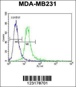 Anti-ANKRD13C Rabbit Polyclonal Antibody