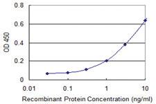 Anti-EEF1G Mouse Monoclonal Antibody [clone: S1]