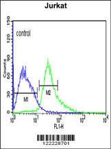 Anti-ATF1 Rabbit Polyclonal Antibody (FITC (Fluorescein Isothiocyanate))