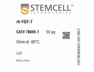 Human recombinant FGF-7 (KGF)