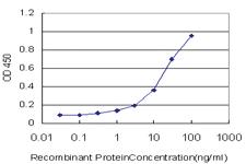 Anti-ACTB Mouse Monoclonal Antibody [clone: 3G4-F9]