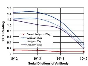 Anti-CST3 Mouse Monoclonal Antibody [clone: 5H2]