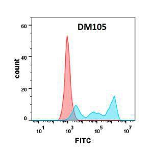 Flow cytometry analysis with Anti-CD30 Antibody [DM105] - Azide free (A318601) on Expi293 cells transfected with human CD30 (blue histogram) or Expi293 transfected with irrelevant protein (red histogram)