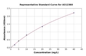 Representative standard curve for Human COLEC10 ELISA kit (A312360)