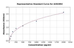 Representative standard curve for Human Melusin ELISA kit (A302892)