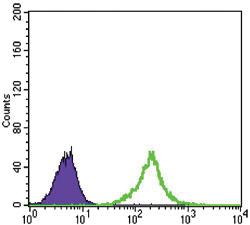 Anti-CTNNB1 Mouse Monoclonal Antibody [clone: 4D5]