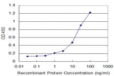 Anti-BMP5 Mouse Monoclonal Antibody [clone: 1G6]