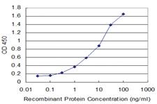 Anti-BMP5 Mouse Monoclonal Antibody [clone: 1G8]