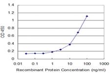 Anti-BMP5 Mouse Monoclonal Antibody [clone: 2E8]