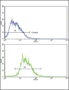 Anti-SOX9 Rabbit Polyclonal Antibody (FITC (Fluorescein Isothiocyanate))