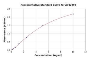 Representative standard curve for Human LTBP4 ELISA kit (A302896)