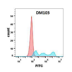 Flow cytometry analysis with Anti-CD30 Antibody [DM103] - Azide free (A318602) on Expi293 cells transfected with human CD30 (blue histogram) or Expi293 transfected with irrelevant protein (red histogram)