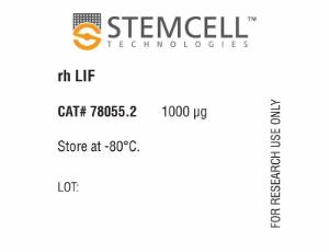 Human recombinant LIF