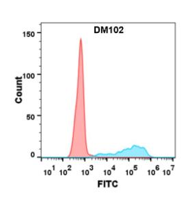 Flow cytometry analysis with Anti-CD40 Antibody [DM102] - Azide free (A318603) on Expi293 cells transfected with human CD40 (blue histogram) or Expi293 transfected with irrelevant protein (red histogram)