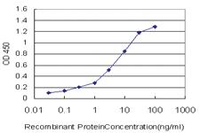 Anti-OXSR1 Mouse Monoclonal Antibody [clone: 2A2-1A2]