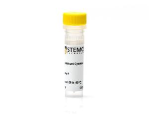 Human recombinant M-CSF (E.coli-expressed)