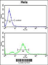 Anti-DAB2 Rabbit Polyclonal Antibody (AP (Alkaline Phosphatase))