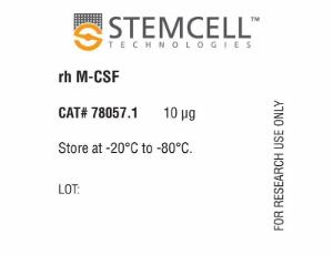 Human Recombinant M-CSF (E.coli-expressed)