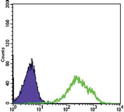 Anti-DAXX Mouse Monoclonal Antibody [clone: 7A11]