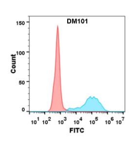 Flow cytometry analysis with Anti-CD40 Antibody [DM101] - Azide free (A318604) on Expi293 cells transfected with human CD40 (blue histogram) or Expi293 transfected with irrelevant protein (red histogram)