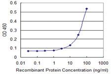 Anti-MIB1 Mouse Monoclonal Antibody [clone: 3E10]