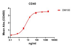 ELISA plate pre-coated by 2 µg/ml (100 µl/well) Recombinant Human CD40 Protein (Fc Chimera 6xHis Tag) (A318393) can bind Anti-CD40 Antibody [DM100] - Azide free (A318605) in a linear range of 0.64-80 µg/ml