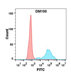 Flow cytometry analysis with Anti-CD40 Antibody [DM100] - Azide free (A318605) on Expi293 cells transfected with human CD40 (blue histogram) or Expi293 transfected with irrelevant protein (red histogram)