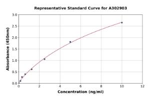 Representative standard curve for Human MEK2 ELISA kit (A302903)