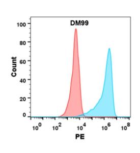 Anti-ICOS Ligand/ICOSL antibody