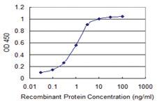 Anti-SLC33A1 Mouse Monoclonal Antibody [clone: 3A4]