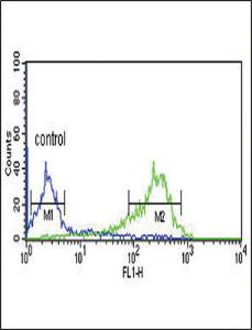 Anti-HAPLN1 Rabbit Polyclonal Antibody (AP (Alkaline Phosphatase))