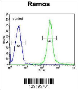 Anti-FAM133A Rabbit Polyclonal Antibody (APC (Allophycocyanin))